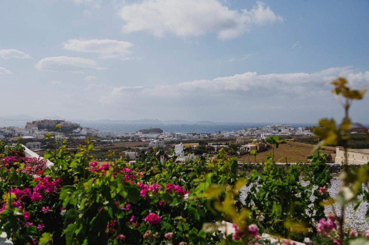 Petros Studios & Suites Naxos City Exterior photo