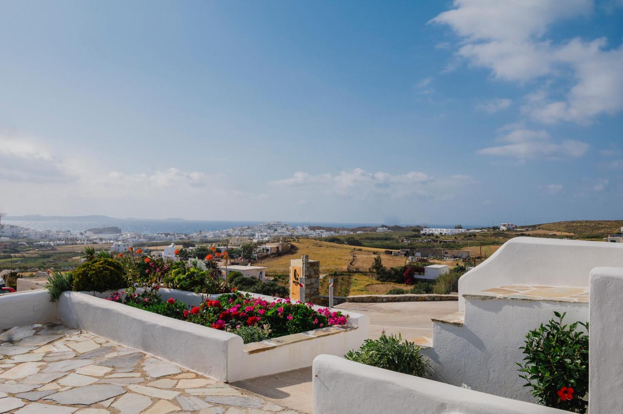 Petros Studios & Suites Naxos City Room photo